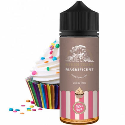  Steam Train-Magnificent 24/120ml Flavor Shot 