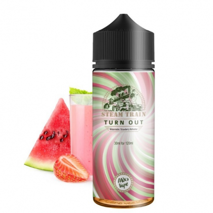  Steam Train-Turn Out 30/120ml Flavor Shot